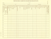 Cumulative Record Inserts, Form 100A (Pack of 25)