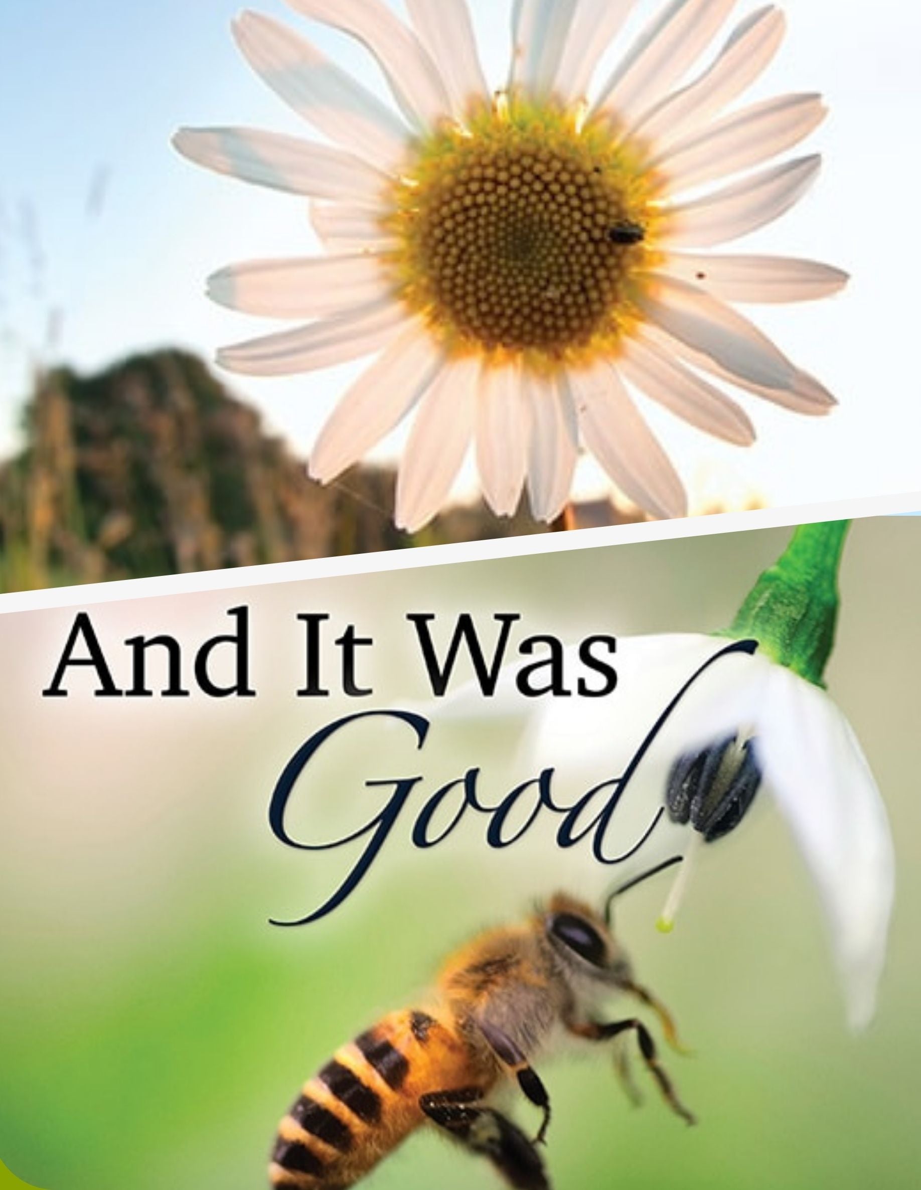 Book cover for And It Was Good teacher's science resource