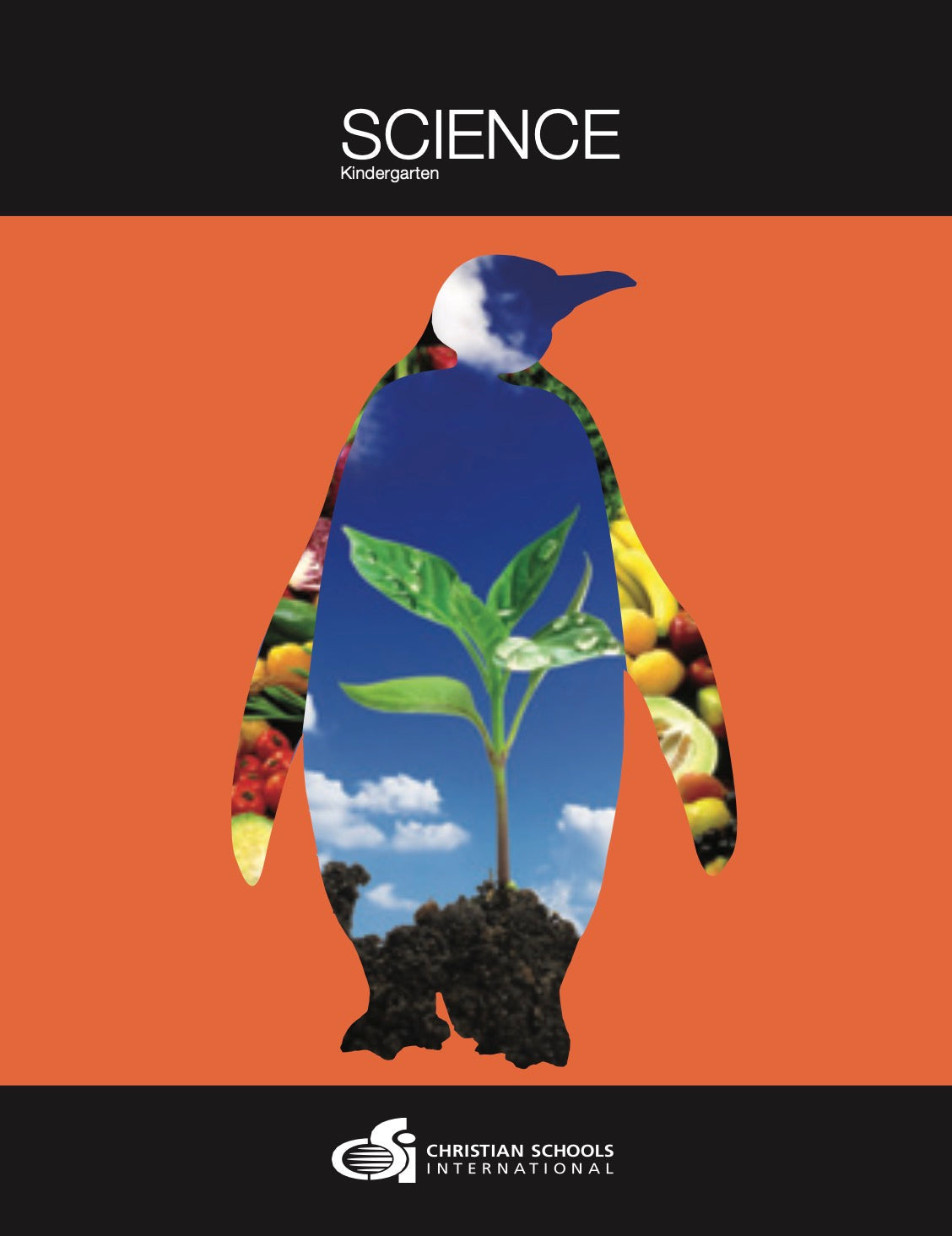 Science 2nd Edition: Electronic Teacher Guide (Kindergarten)