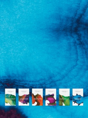 Bright blue banner with the six Immerse Bibles displayed: Beginnings, Kingdoms, Prophets, Poets, Chronicles, and Messiah